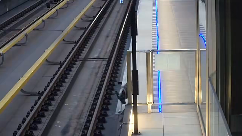 Chaos v pražském metru: Štěně zastavilo provoz na lince A. Odchyt trval několik hodin