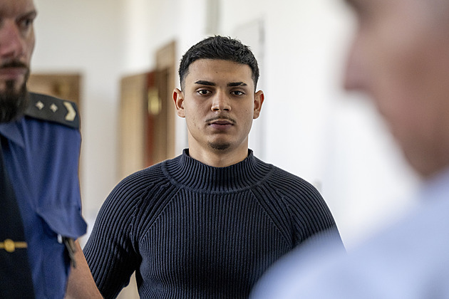 Soud uložil mladíkovi 18 let za vraždu muže, zbitý muž hodiny umíral při vědomí