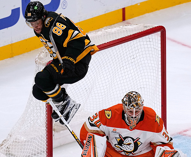 Ostuda, trapas... Vše je špatně! V Bostonu se kají, tým okolo Pastrňáka je opět v krizi