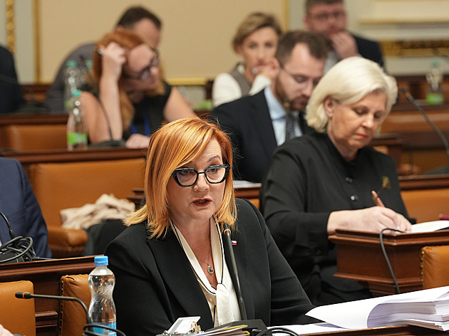 ANO, SPD a Motoristé chtějí jiný rozpočet. Skutečný deficit je 381 miliard, míní