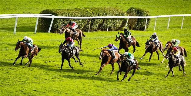 O dostihovém závodišti v Chuchli stále není podepsána nová nájemní smlouva