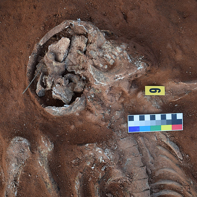 Střelivo i zlatý frank. Archeologové odkryli vojenské hroby na východě Čech