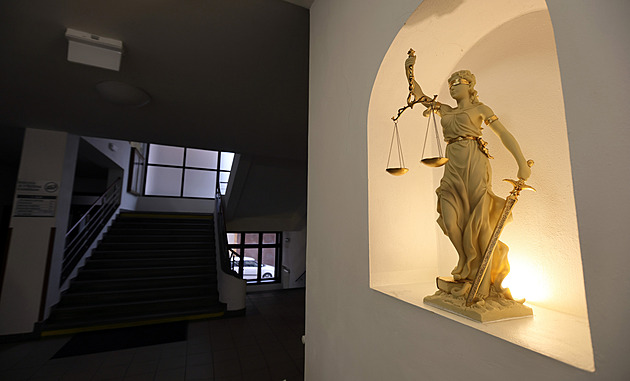 Udeřil syna do hlavy, protože plakal. Za vraždu kojence soud muži uložil 16 let