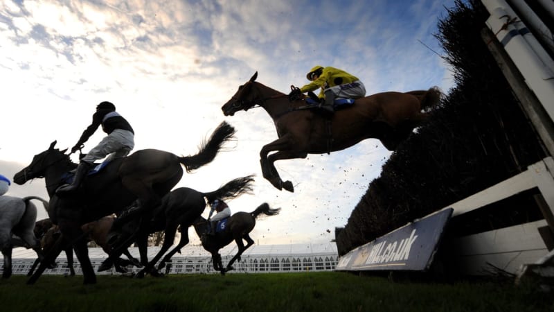 Dostihový kůň vydělal statisíce, skončil v turecké restauraci. Host našel na talíři jeho čip