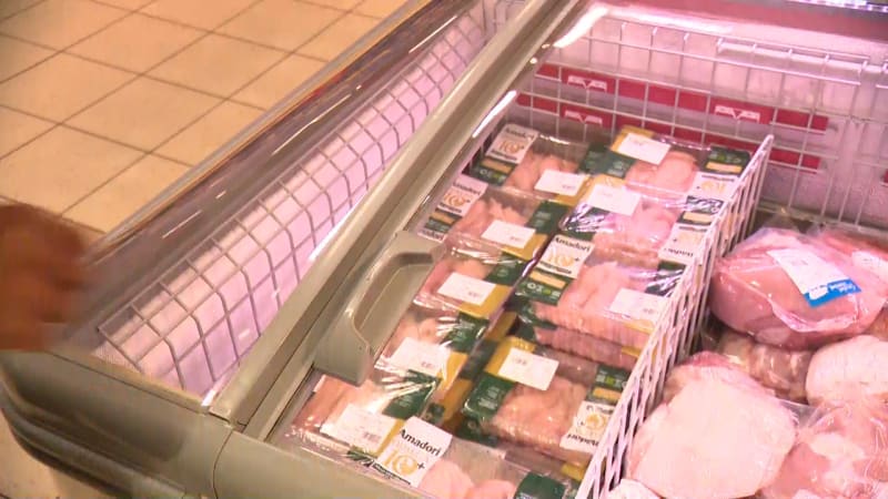 Salmonelu kontroly zjistily u čtvrtiny kuřecího z dovozu. Bez vad není ani české maso
