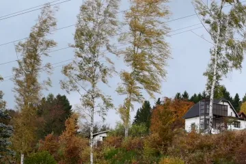 Východ území zasáhne od večera silný vítr, varují meteorologové
